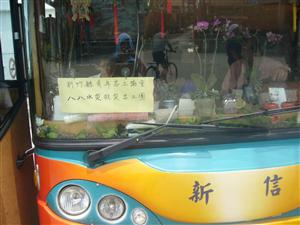 文章插圖